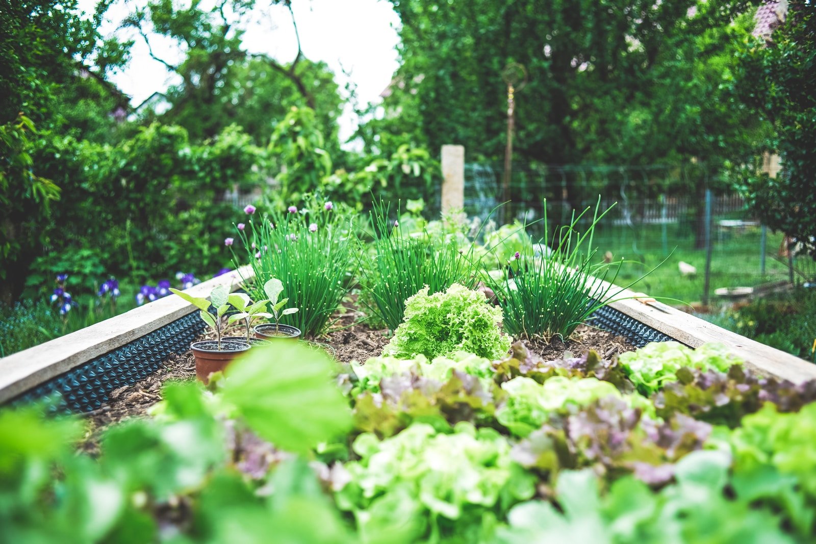 green herbs help a parent turn a rainy spring day around