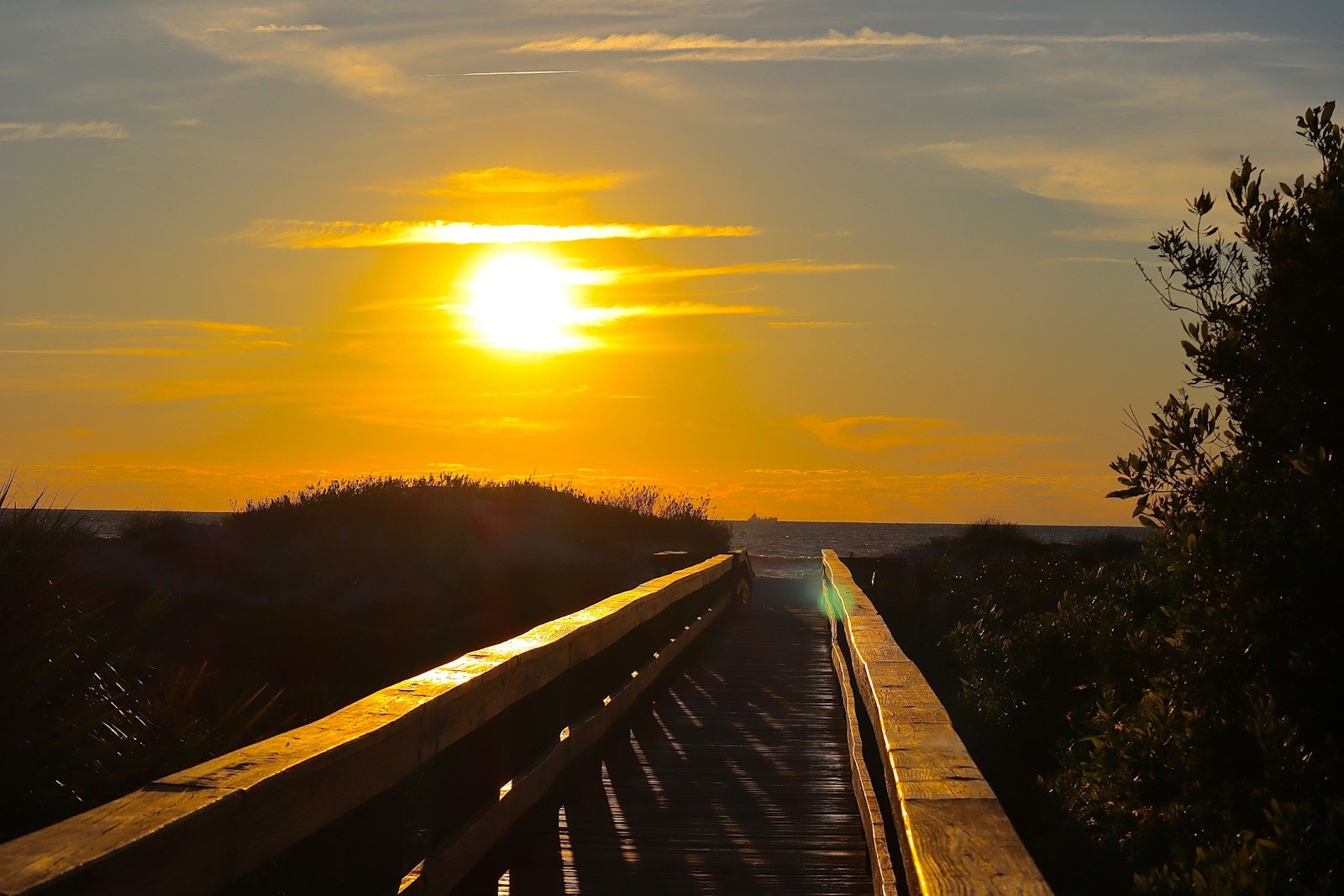 Many resources are available for parents and caregivers supporting a teenager or young adult facing mental health challenges.